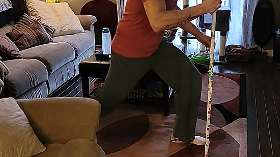 Working Wellness lunge at home